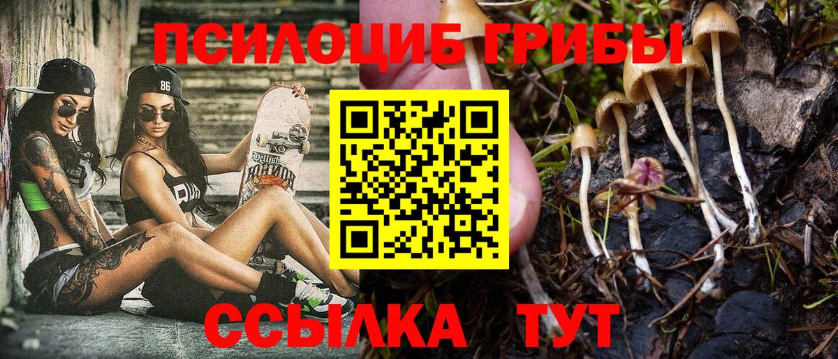 Галлюциногенные грибы Magic Shrooms  Вход с VPN  Богородицк 